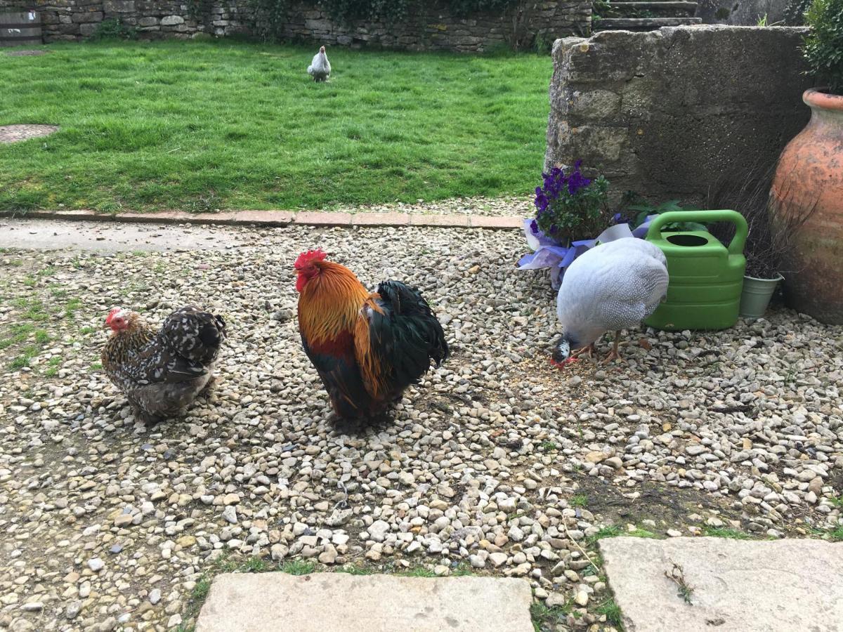 דירות בריסטול Woodcock Farm מראה חיצוני תמונה